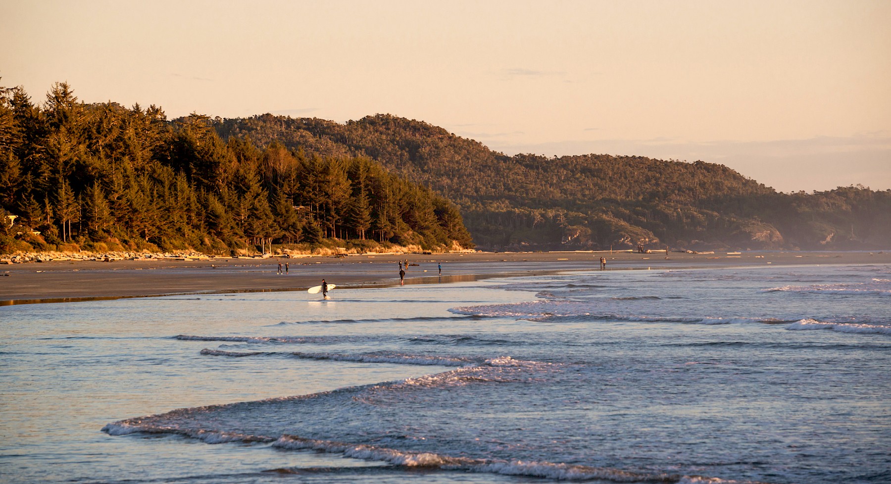 Chesterman Beach Sunset Surfers and Beachcombers by Caitlin Gray Ronda