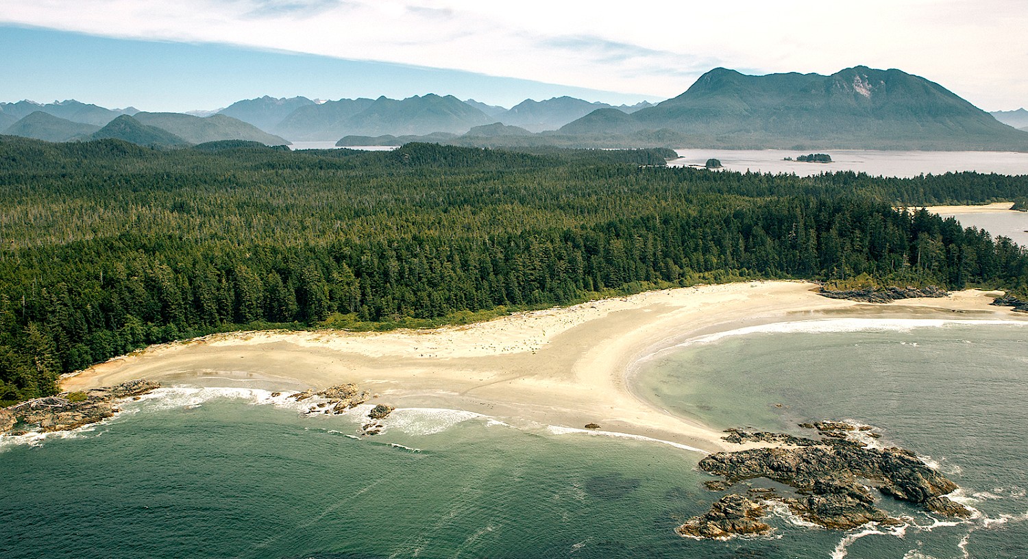 Aerial view of a coastal landscape featuring a sandy beach, old growth forest, and rocky islet