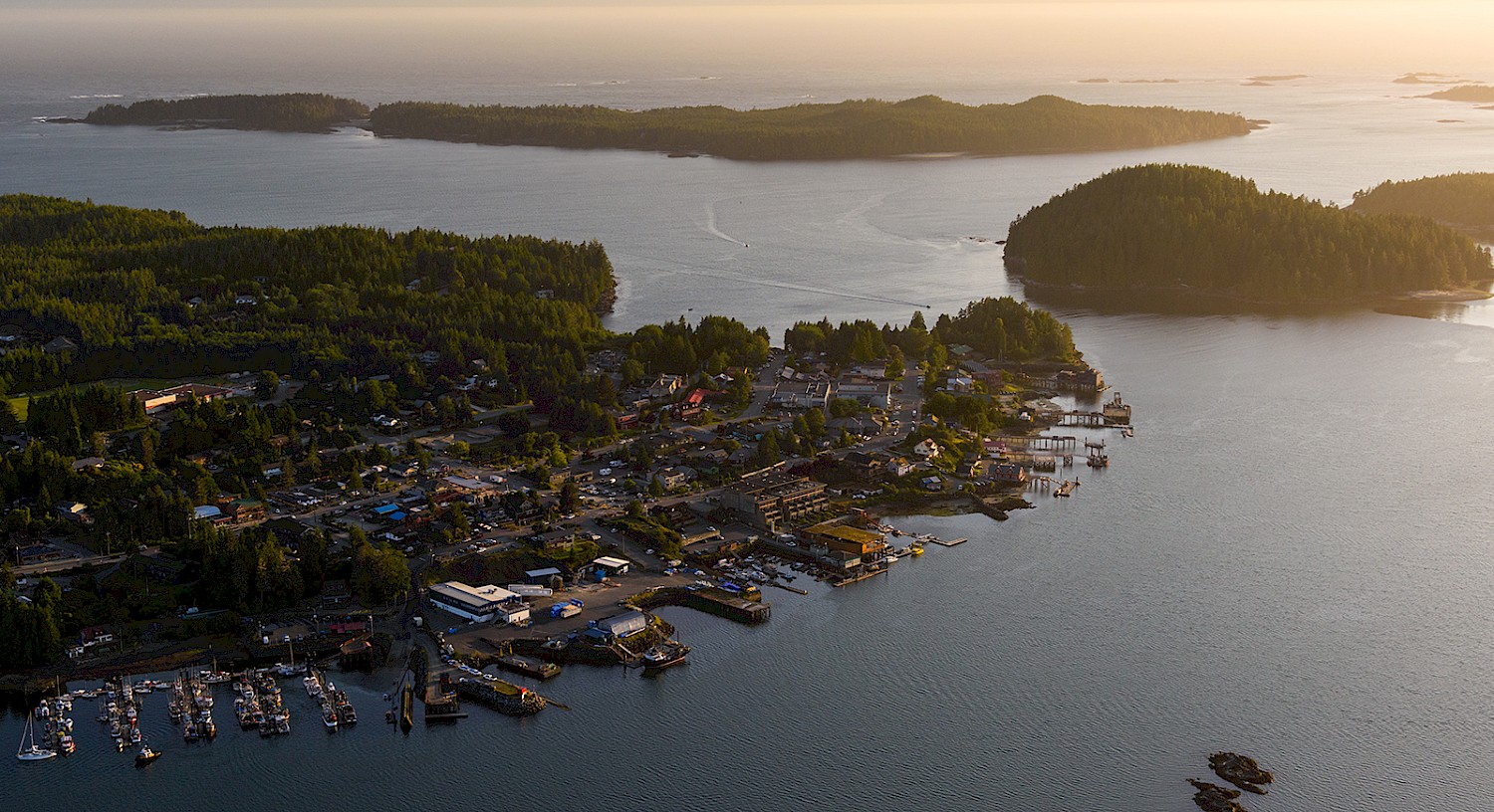 Aerial view of Tofino at sunset with docks, boats, and dense greenery surrounding a serene inlet