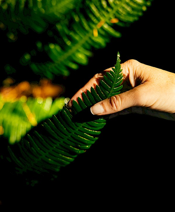 Long Beach Nature Tours Guided Walk at Wickaninnish Inn