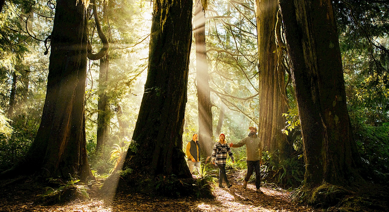 Long Beach Nature Tours Guided Walk at Wickaninnish Inn