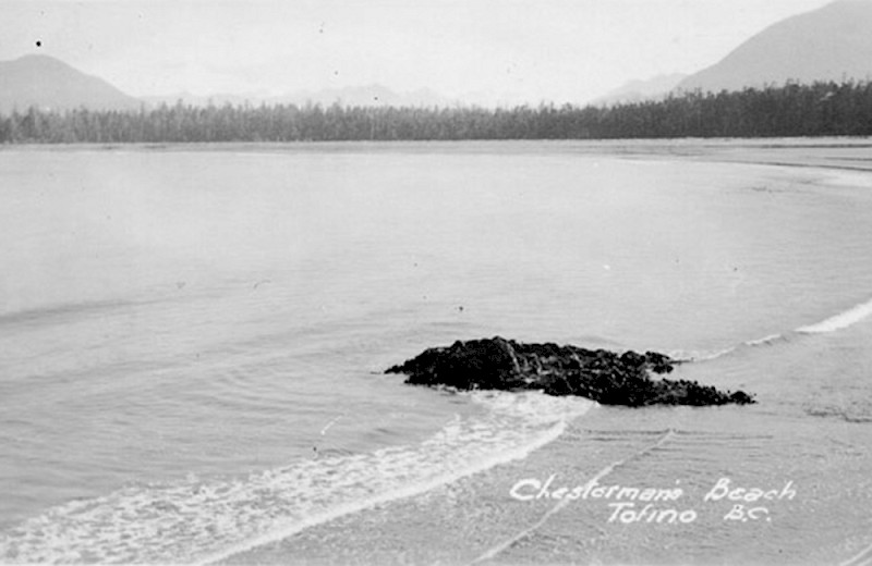 Historic black and white photo of Chesterman Beach, featuring a tranquil shoreline with gentle waves and a small rock in the foreground, set against a backdrop of distant mountains shrouded in fog