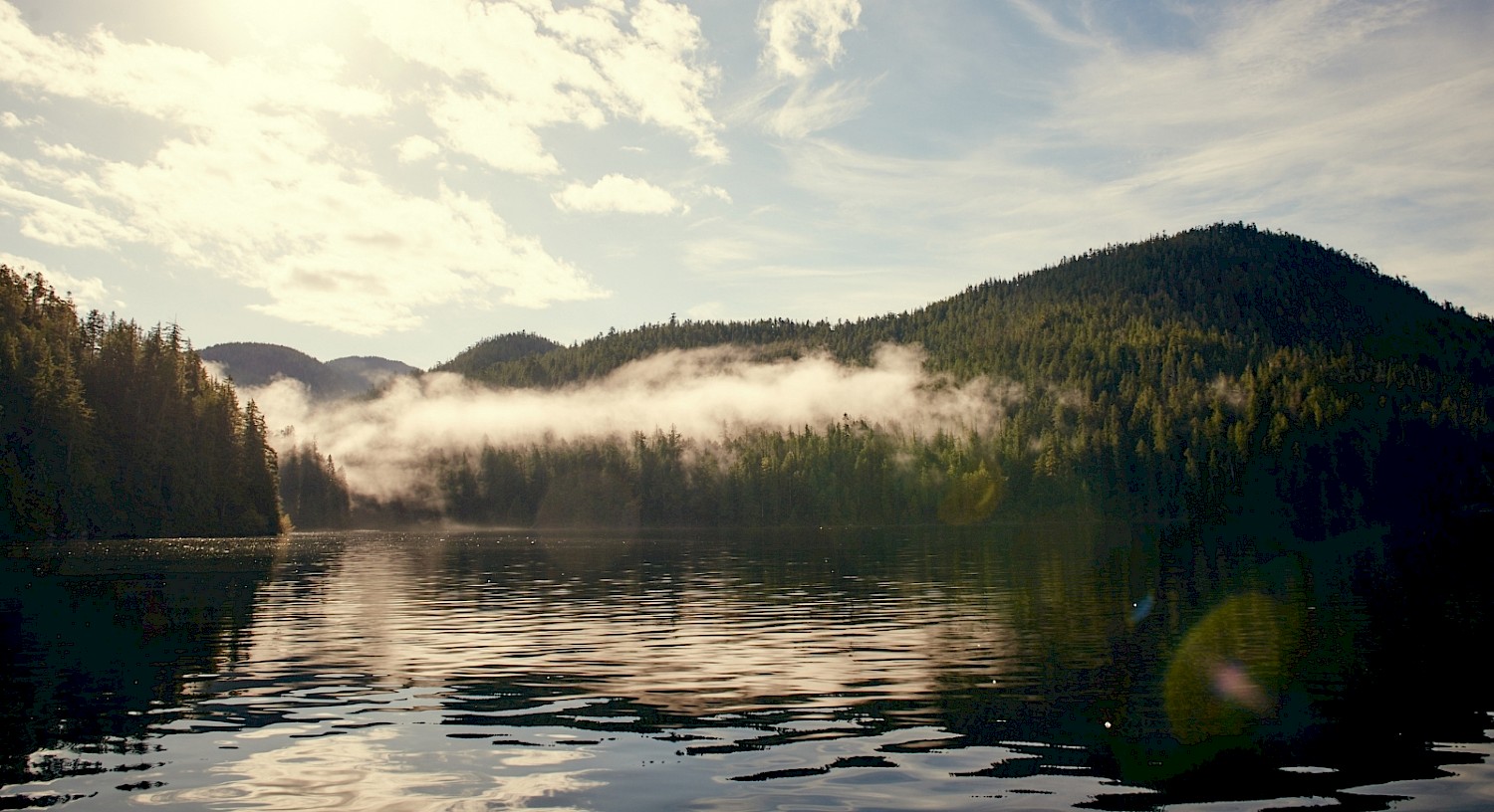 Morning mist hovers above a calm ocean inlet with forest-covered hills in the background under a clear sky.