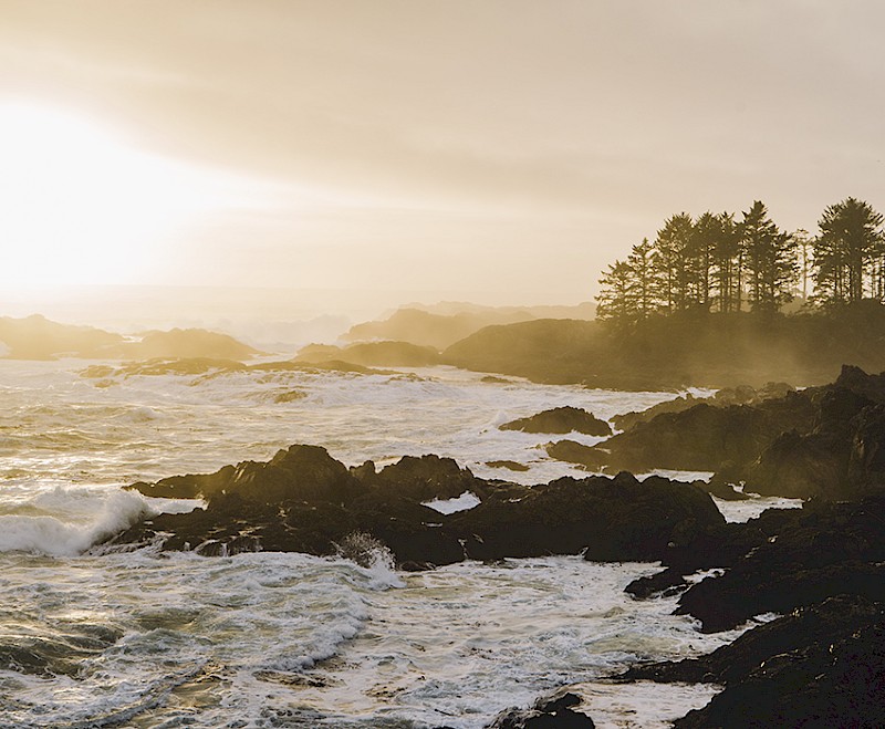 Sunset over the rugged coastline with waves crashing against rocky shores, trees silhouetted against a glowing sky