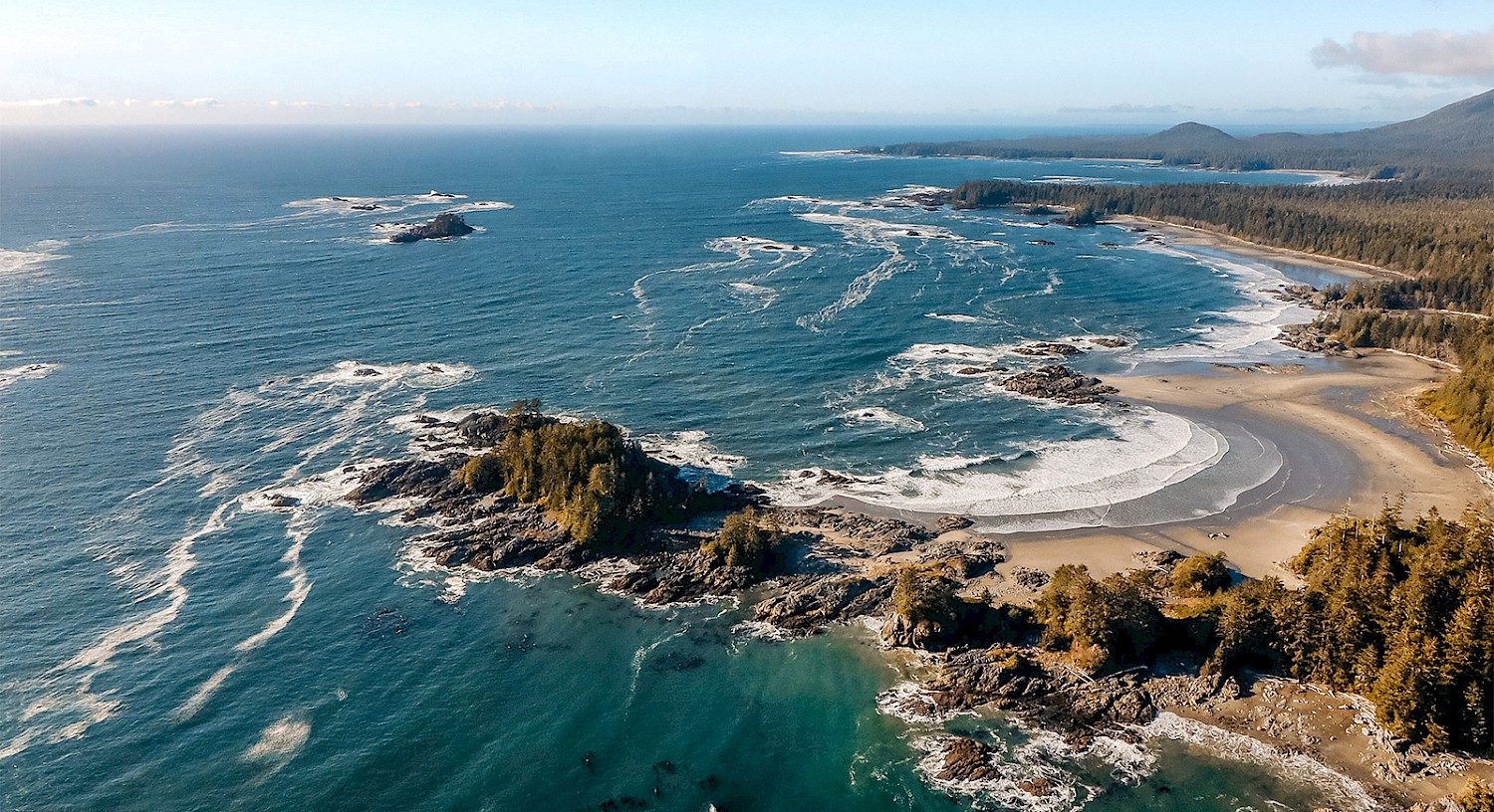 Aerial view of a scenic coastline with rocky outcrops and sandy beaches, surrounded by a lush ancient forest. The ocean waves gently meet the shore under a clear blue sky.