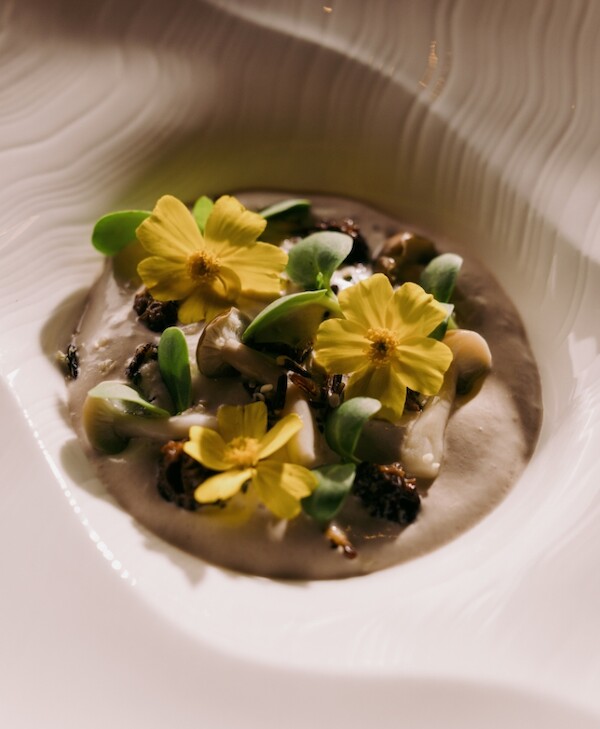 Beautiful plated dish with mushrooms in a smooth foam decorated by spring flowers and other sprigs