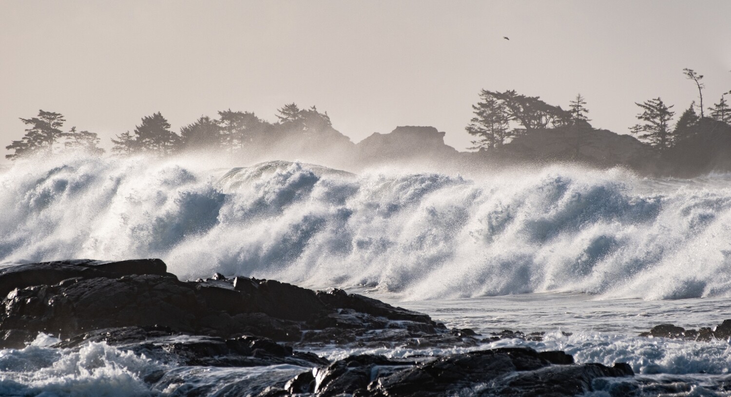 A large winter wave crashes towards a rocky section of Chesterman Beach's shoreline.