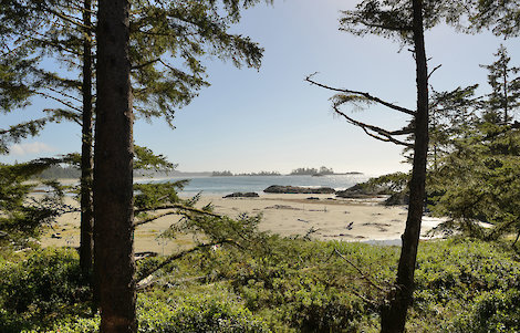Chesterman Beach Deluxe View