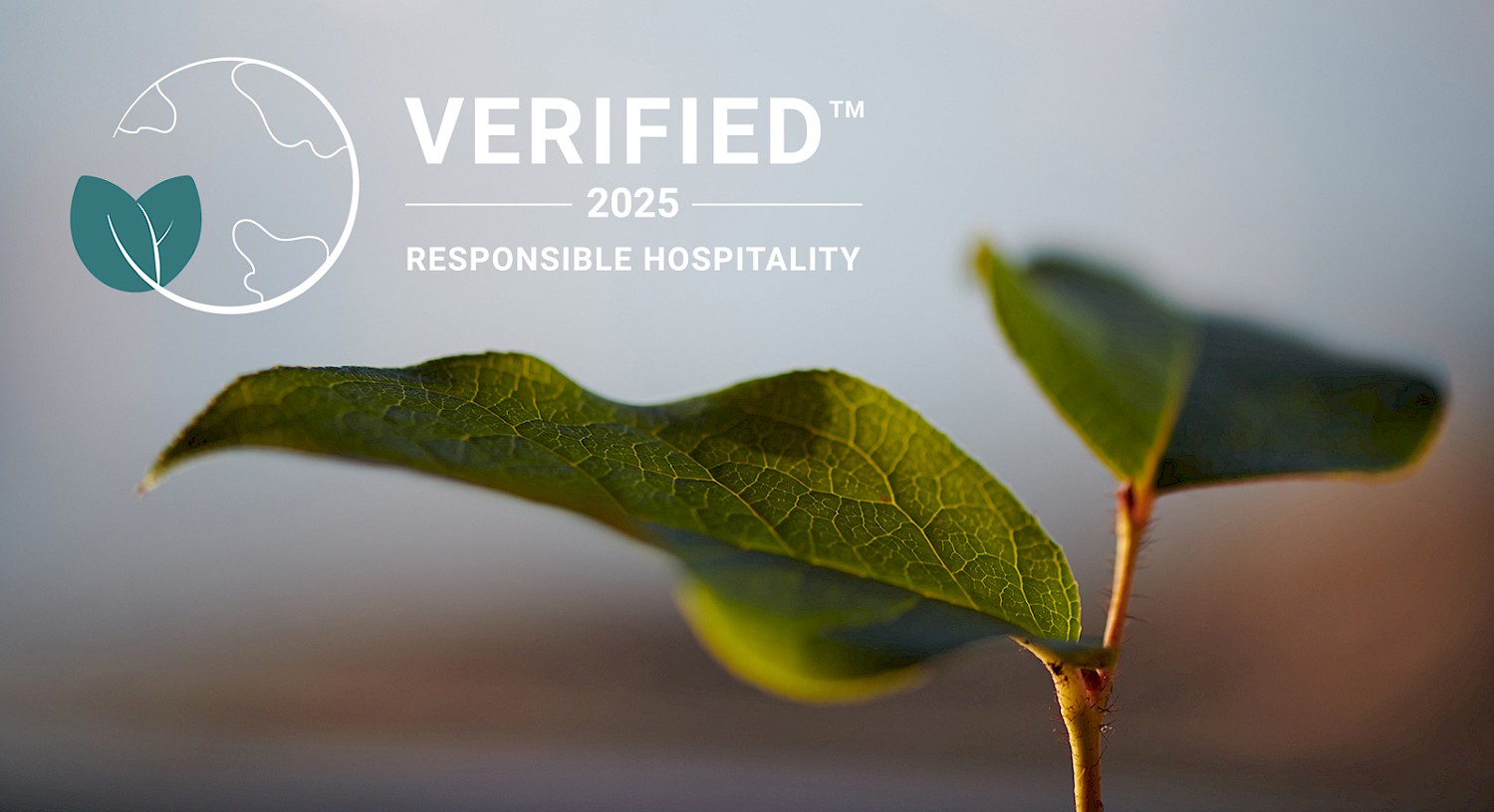Verified Responsible Hospitality Badge with Salal Background